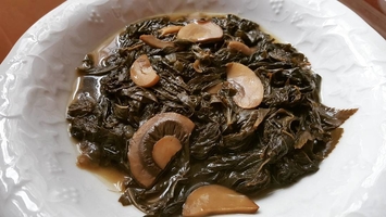 Molehiya in North Cyprus