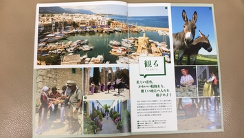 North Cyprus Center Japan interior