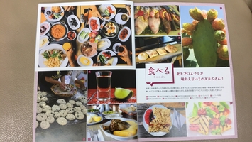 North Cyprus Center Japan brochures